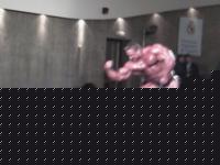Click image for larger version

Name:	Fitness Festival Catania 2004 081.jpg
Views:	190
Size:	64.5 KB
ID:	15839478