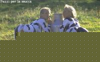 Click image for larger version

Name:	vacche.jpg
Views:	175
Size:	46.0 KB
ID:	15839500
