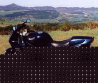 Click image for larger version

Name:	sprintrs1.jpg
Views:	162
Size:	11.6 KB
ID:	15839584
