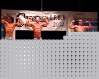 Click image for larger version

Name:	ifbb 05.jpg
Views:	100
Size:	63.2 KB
ID:	15839610