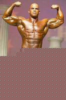Click image for larger version

Name:	pica-florida.jpg
Views:	247
Size:	32.8 KB
ID:	15839682