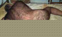 Click image for larger version

Name:	cucciolone.jpg
Views:	110
Size:	12.1 KB
ID:	15839916