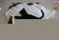 Click image for larger version

Name:	Maglia_Puma.jpg
Views:	58
Size:	31.2 KB
ID:	15840094
