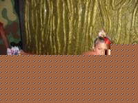 Click image for larger version

Name:	4.jpg
Views:	198
Size:	40.4 KB
ID:	15840148