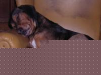 Click image for larger version

Name:	DSCN0004.jpg
Views:	131
Size:	40.9 KB
ID:	15840267