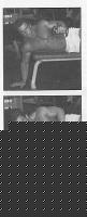 Click image for larger version

Name:	L- fly.jpg
Views:	103
Size:	24.5 KB
ID:	15840305