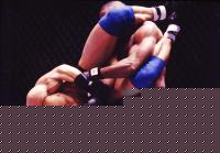 Click image for larger version

Name:	frank_shamrock4[1].jpg
Views:	60
Size:	73.9 KB
ID:	15840315