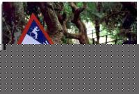 Click image for larger version

Name:	wheelchairsign.jpg
Views:	464
Size:	34.3 KB
ID:	15840386