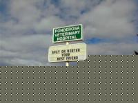 Click image for larger version

Name:	spayneuter.jpg
Views:	597
Size:	23.7 KB
ID:	15840387