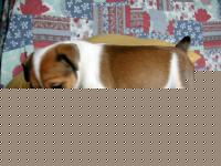 Click image for larger version

Name:	DSCN6702.jpg
Views:	87
Size:	69.1 KB
ID:	15841925