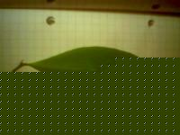 Click image for larger version

Name:	12-10-04_1928.jpg
Views:	100
Size:	12.4 KB
ID:	15842012