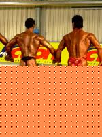 Click image for larger version

Name:	Baiano_Colbax3.jpg
Views:	262
Size:	83.9 KB
ID:	15842178