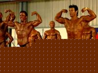 Click image for larger version

Name:	Baiano_Colbax4.jpg
Views:	541
Size:	91.8 KB
ID:	15842179