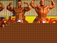 Click image for larger version

Name:	Casa_Gaspe2.jpg
Views:	154
Size:	85.8 KB
ID:	15842181