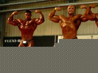 Click image for larger version

Name:	Sarni_Ceschina.jpg
Views:	173
Size:	77.7 KB
ID:	15842196