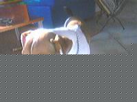 Click image for larger version

Name:	P1114_104114.jpg
Views:	269
Size:	20.3 KB
ID:	15842240