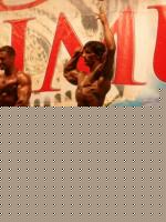 Click image for larger version

Name:	Nannini 3.jpg
Views:	168
Size:	49.8 KB
ID:	15842658