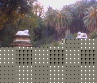 Click image for larger version

Name:	PIC000006b.JPG
Views:	70
Size:	35.8 KB
ID:	15842867