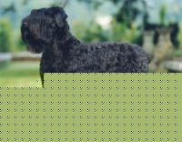 Click image for larger version

Name:	Belinda.jpg
Views:	126
Size:	78.7 KB
ID:	15843328