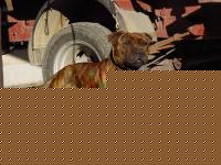 Click image for larger version

Name:	DSC03083.JPG
Views:	93
Size:	60.2 KB
ID:	15843329