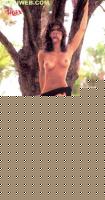Click image for larger version

Name:	piero12.jpg
Views:	1155
Size:	136.5 KB
ID:	15843508
