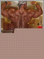 Click image for larger version

Name:	020705wardel02.jpg
Views:	64
Size:	29.2 KB
ID:	15843696