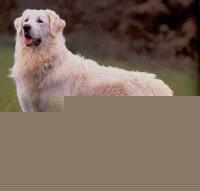 Click image for larger version

Name:	4.jpg
Views:	84
Size:	27.4 KB
ID:	15844110