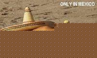 Click image for larger version

Name:	Solo_en_Mexico.jpg
Views:	336
Size:	29.9 KB
ID:	15844113