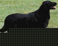 Click image for larger version

Name:	14.jpg
Views:	83
Size:	20.8 KB
ID:	15844241