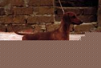 Click image for larger version

Name:	18.jpg
Views:	89
Size:	26.1 KB
ID:	15844243