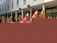 Click image for larger version

Name:	carnevale.jpg
Views:	3771
Size:	143.0 KB
ID:	15844245