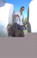 Click image for larger version

Name:	mastino%204.jpg
Views:	80
Size:	119.4 KB
ID:	15844304