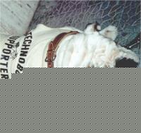 Click image for larger version

Name:	technobody-supporter.jpg
Views:	229
Size:	45.3 KB
ID:	15844401