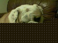 Click image for larger version

Name:	Bomby1.jpg
Views:	140
Size:	33.3 KB
ID:	15844408