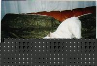 Click image for larger version

Name:	patrizioscreen2.jpg
Views:	145
Size:	76.3 KB
ID:	15844409