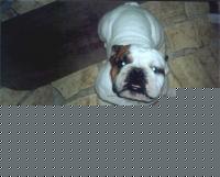 Click image for larger version

Name:	patrizio2.jpg
Views:	172
Size:	103.2 KB
ID:	15844410