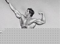 Click image for larger version

Name:	Arnold2.jpg
Views:	77
Size:	33.0 KB
ID:	15844781