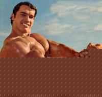 Click image for larger version

Name:	arnie_young_big.jpg
Views:	531
Size:	30.1 KB
ID:	15846161