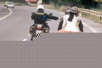 Click image for larger version

Name:	metti-il-casco.jpg
Views:	65
Size:	29.4 KB
ID:	15846173