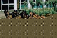 Click image for larger version

Name:	gatto.jpg
Views:	97
Size:	40.1 KB
ID:	15846399