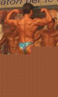 Click image for larger version

Name:	mirko.jpg
Views:	93
Size:	36.2 KB
ID:	15846506