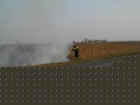 Click image for larger version

Name:	sterp.jpg
Views:	110
Size:	10.9 KB
ID:	15846613