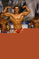 Click image for larger version

Name:	king10.JPG
Views:	339
Size:	72.2 KB
ID:	15846666