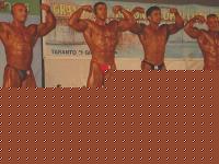 Click image for larger version

Name:	assoluto-2.jpg
Views:	101
Size:	58.2 KB
ID:	15846901