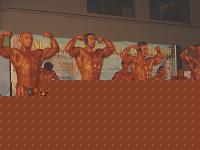 Click image for larger version

Name:	assoluto-5.jpg
Views:	109
Size:	87.5 KB
ID:	15846904