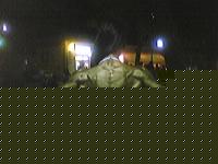 Click image for larger version

Name:	P0703_223549.jpg
Views:	653
Size:	127.2 KB
ID:	15847155