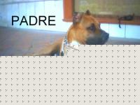 Click image for larger version

Name:	in pausa.jpg
Views:	112
Size:	37.4 KB
ID:	15847358