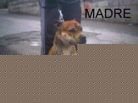 Click image for larger version

Name:	02.jpg
Views:	105
Size:	39.5 KB
ID:	15847359