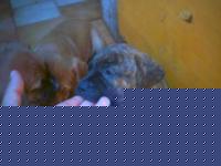 Click image for larger version

Name:	10.jpg
Views:	132
Size:	17.5 KB
ID:	15847360