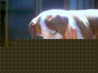 Click image for larger version

Name:	06.jpg
Views:	141
Size:	17.3 KB
ID:	15847361
